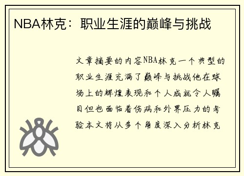 NBA林克：职业生涯的巅峰与挑战